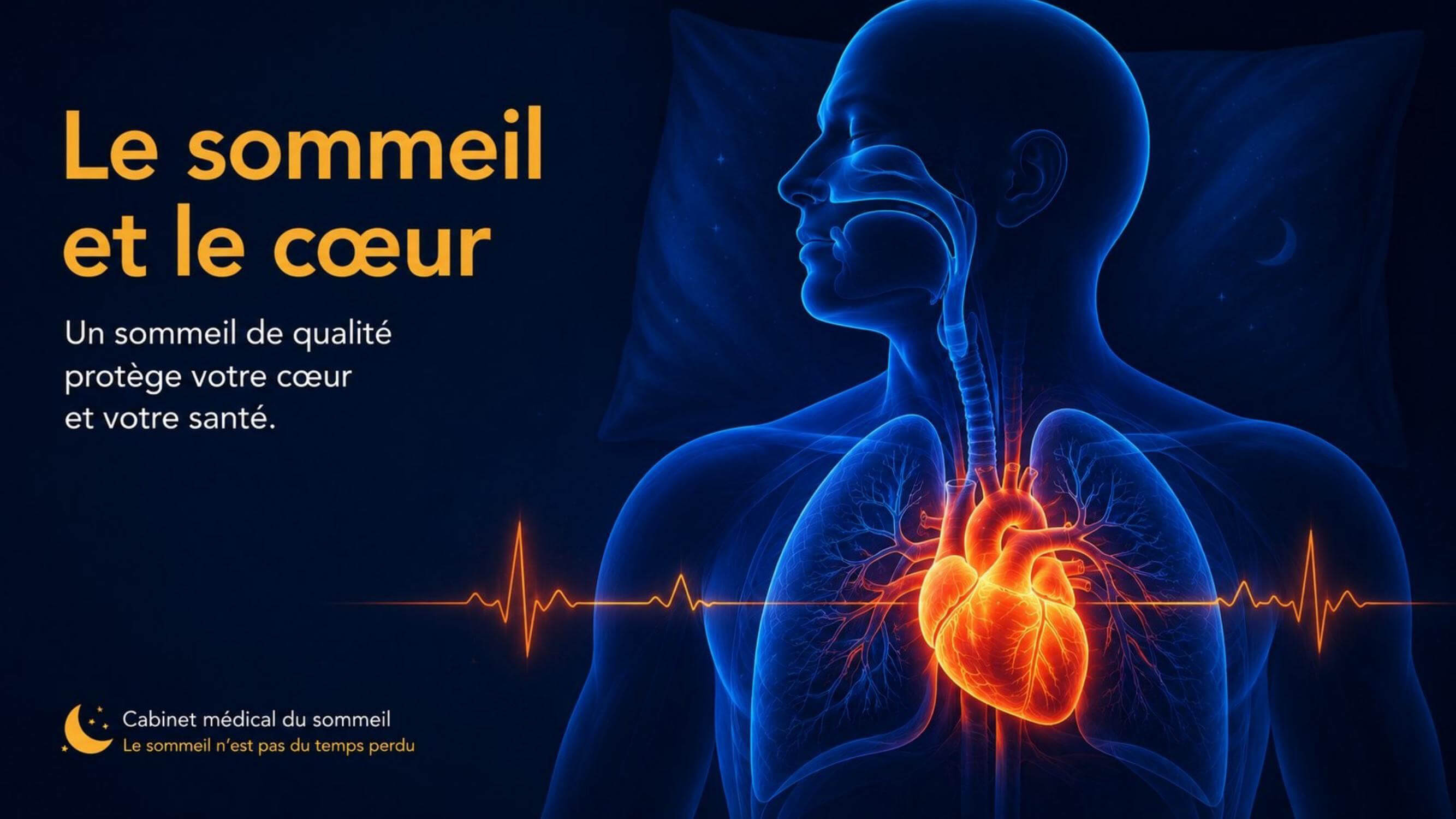Le sommeil et le cœur